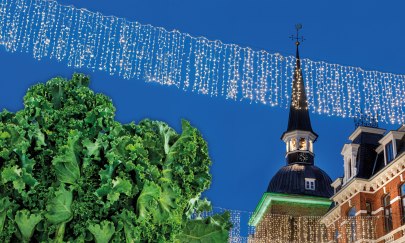 Gröönkohl-Tied Gröönkohl-Tied