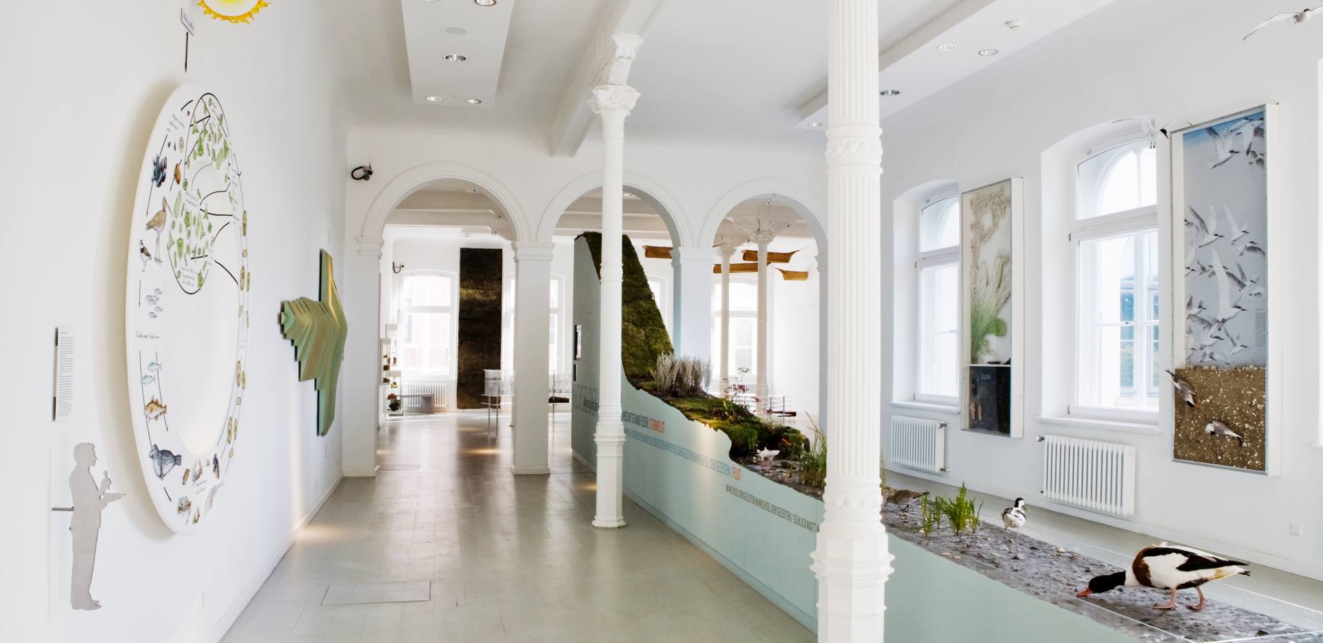 Oldenburg Landesmuseum Natur und Mensch Oldenburg Landesmuseum Natur und Mensch